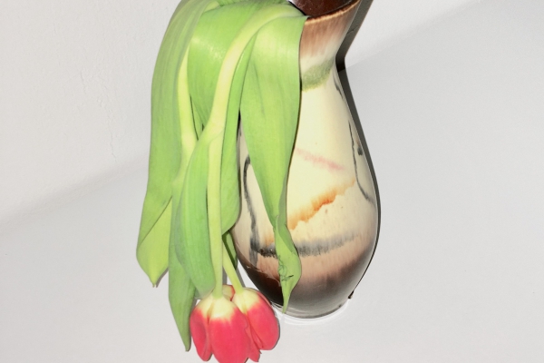 Profilbild von Cabinet Gold van d’Vlies