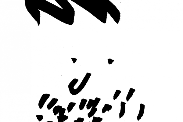 Profilbild von Johannes Ellmer