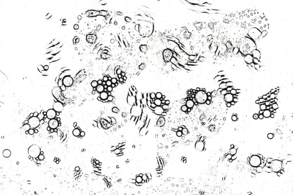 Profilbild von Marion Bösen