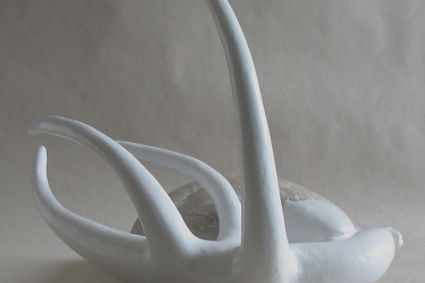 Profilbild von Silke Pradler